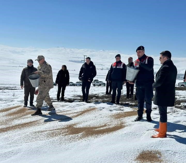 Özalp ilçesinde sokak ve yaban hayvanları için yem bırakıldı