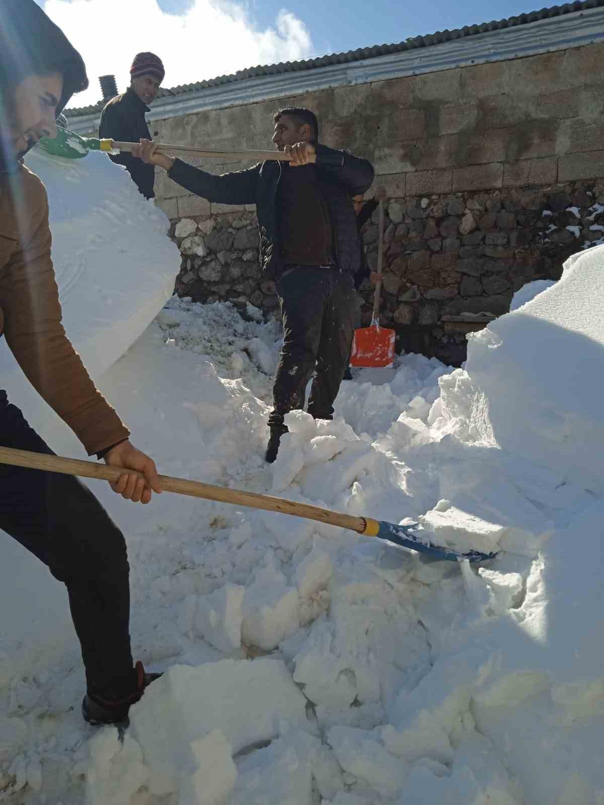 Karın ağırlığına dayanamayan ahır çöktü