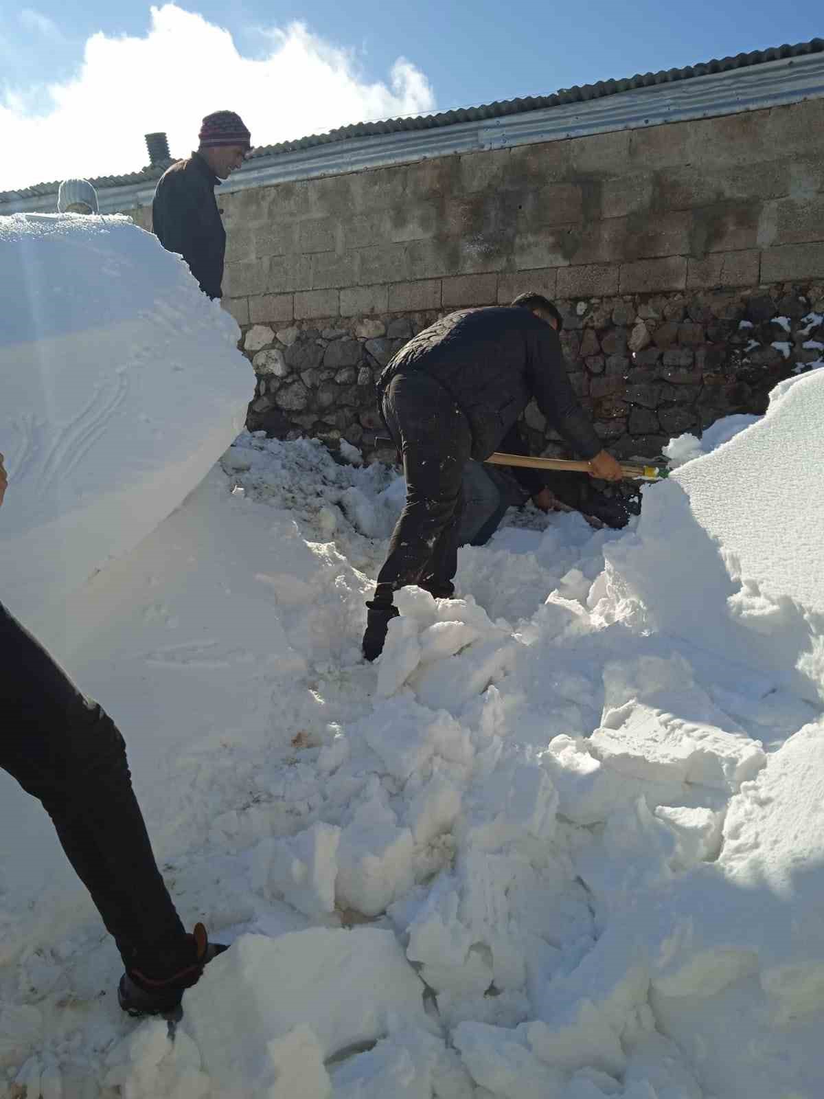 Karın ağırlığına dayanamayan ahır çöktü