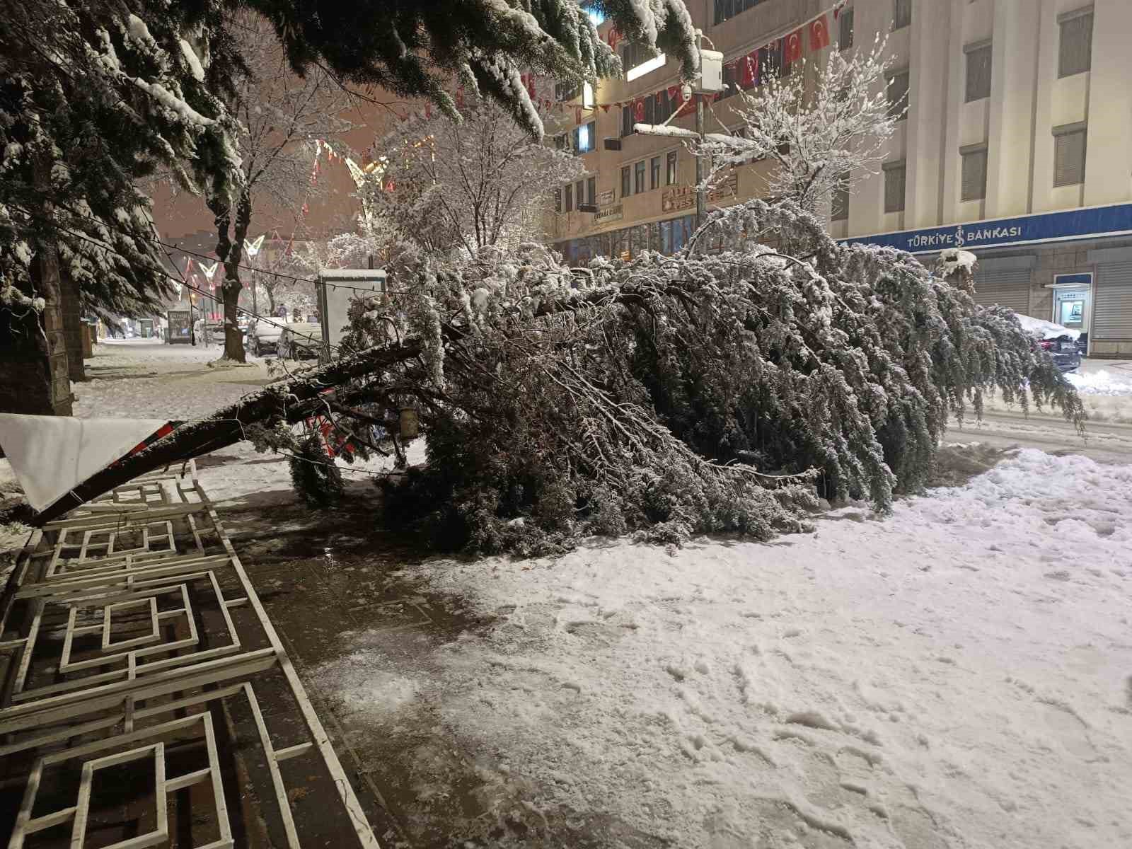 Van’da aşırı kar yağışına dayanamayan ağaç yola devrildi