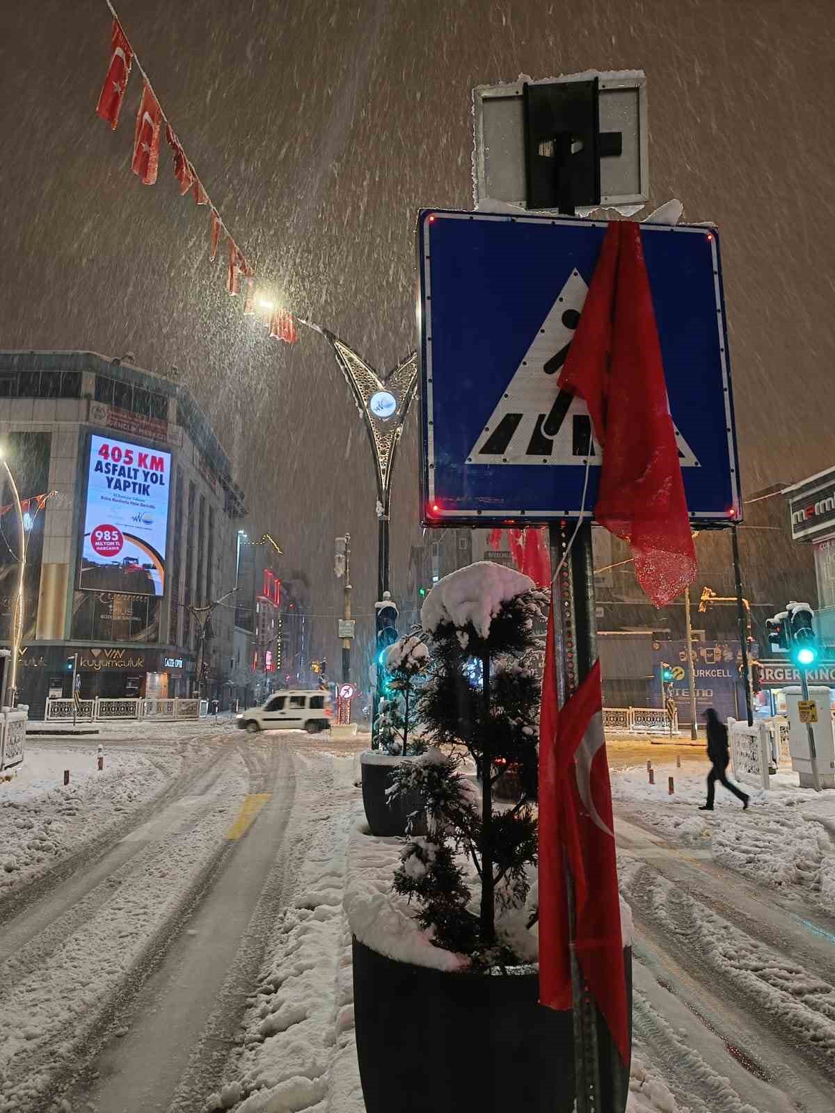 Van’da aşırı kar yağışına dayanamayan ağaç yola devrildi