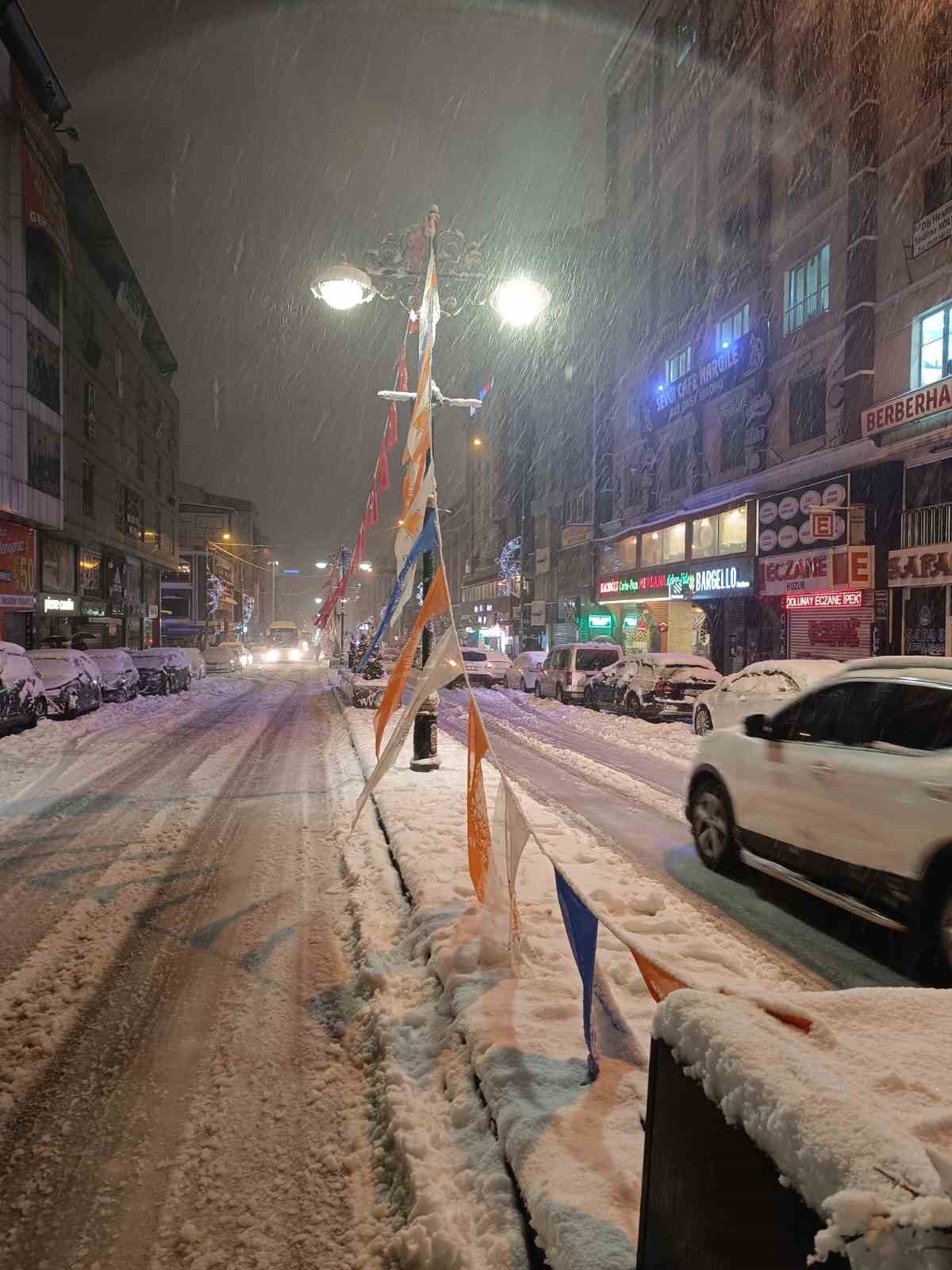 Van’da aşırı kar yağışına dayanamayan ağaç yola devrildi