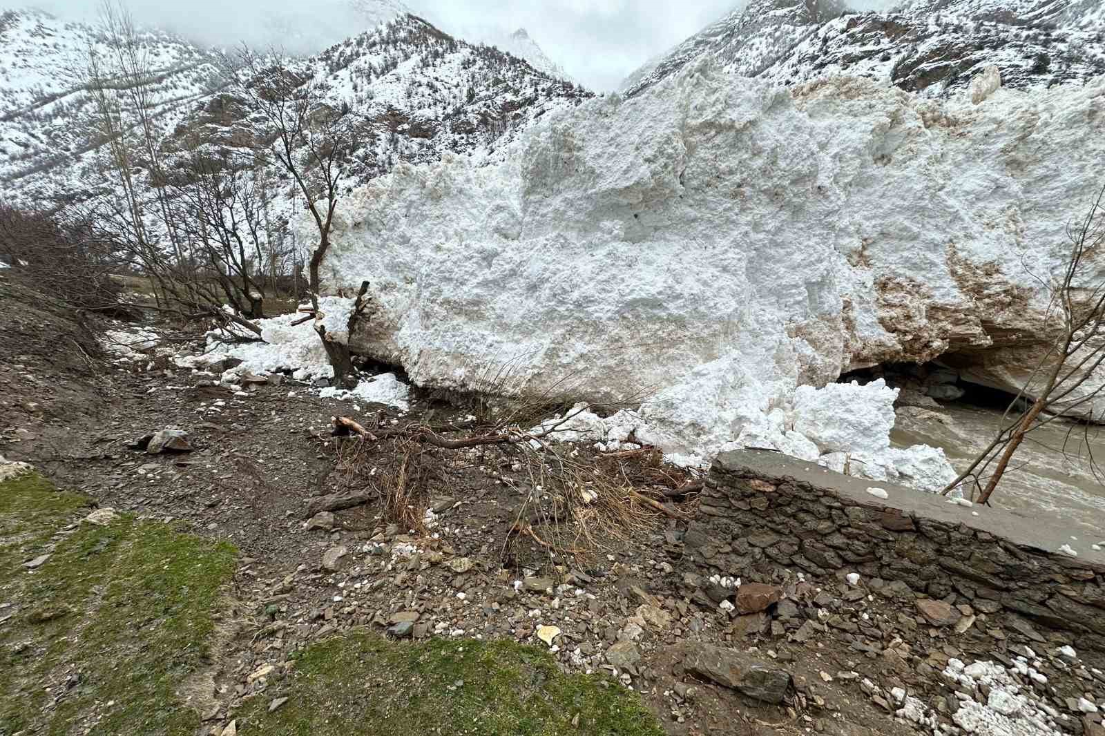 Van-Çatak kara yoluna çığ düştü