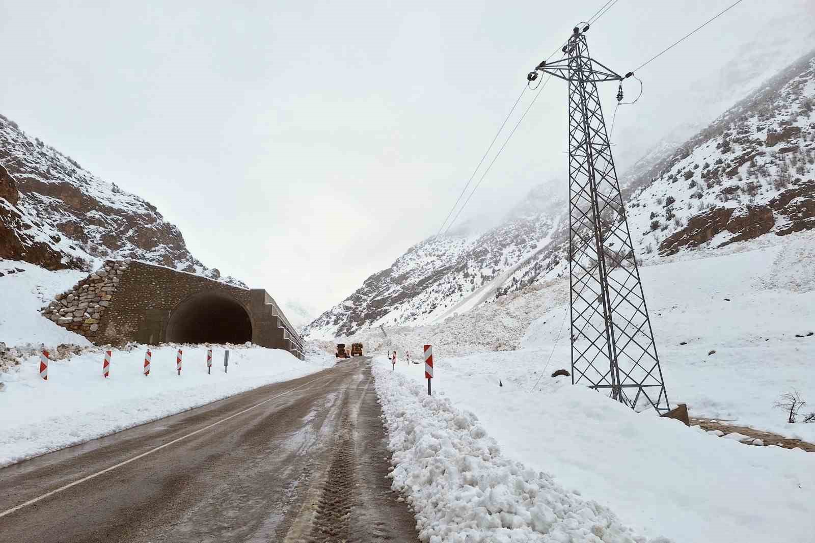 Van-Çatak kara yoluna çığ düştü