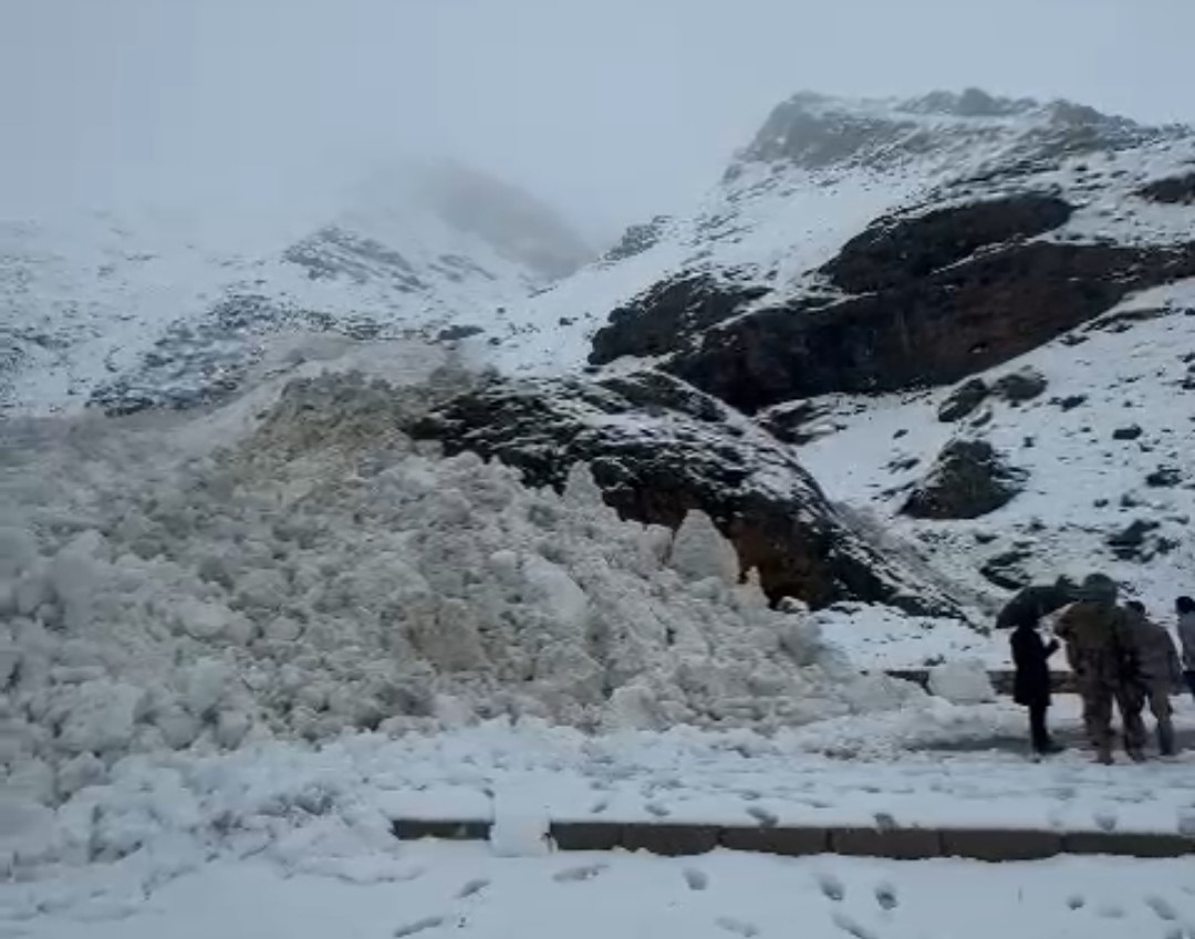 Van-Bahçesaray yoluna çığ düştü