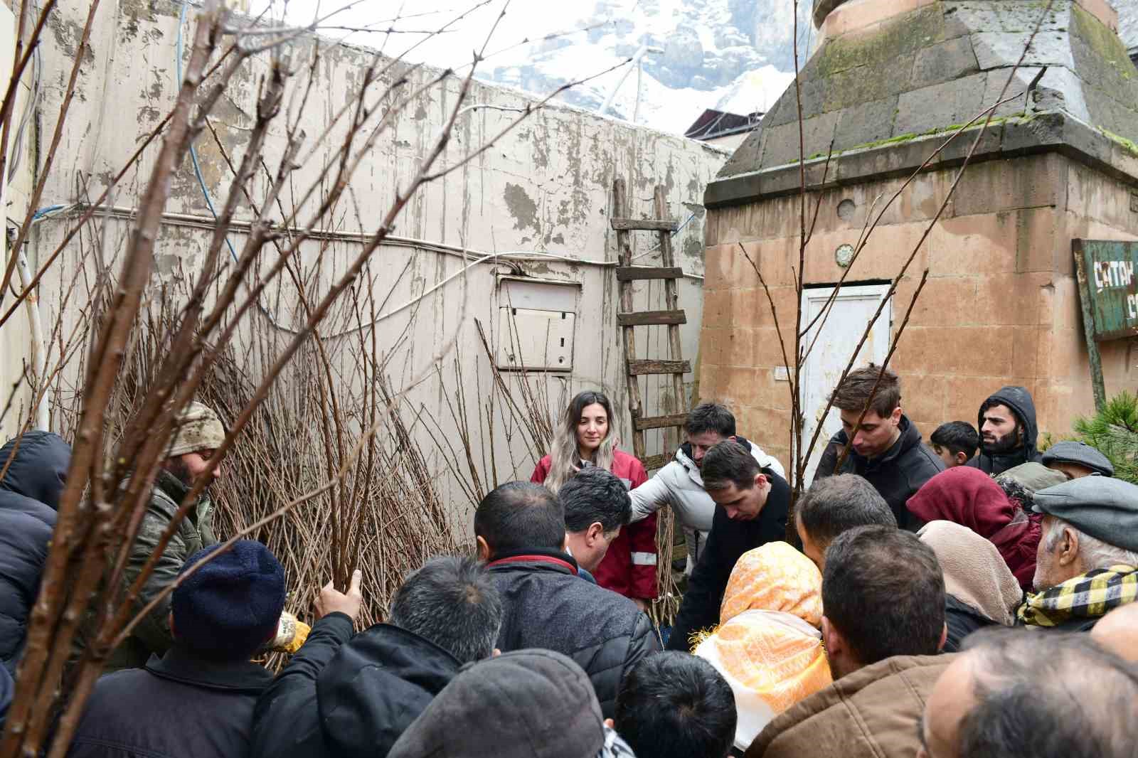 Çataklı çiftçilere ücretsiz kiraz ve vişne fidanı dağıtıldı