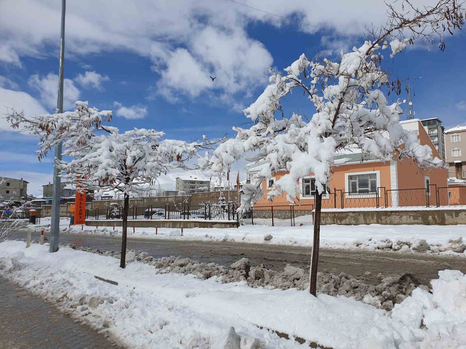 Başkale’de kar manzaraları kartpostallık görüntüler oluşturuyor