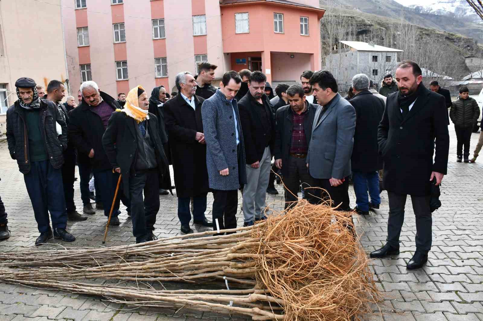 Çatak’ta fidan dağıtım