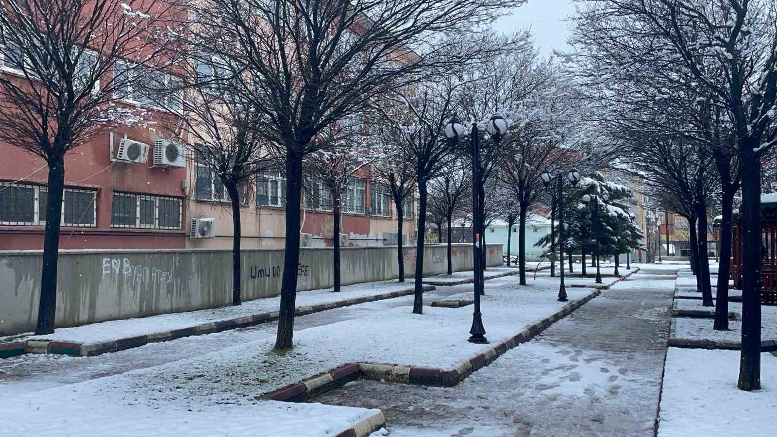 Muradiye’de kar yağışı