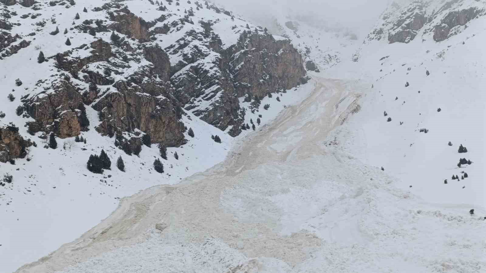 10 ayrı bölgeye çığ düştü: Ekipler yol açma çalışmalarını sürdürüyor