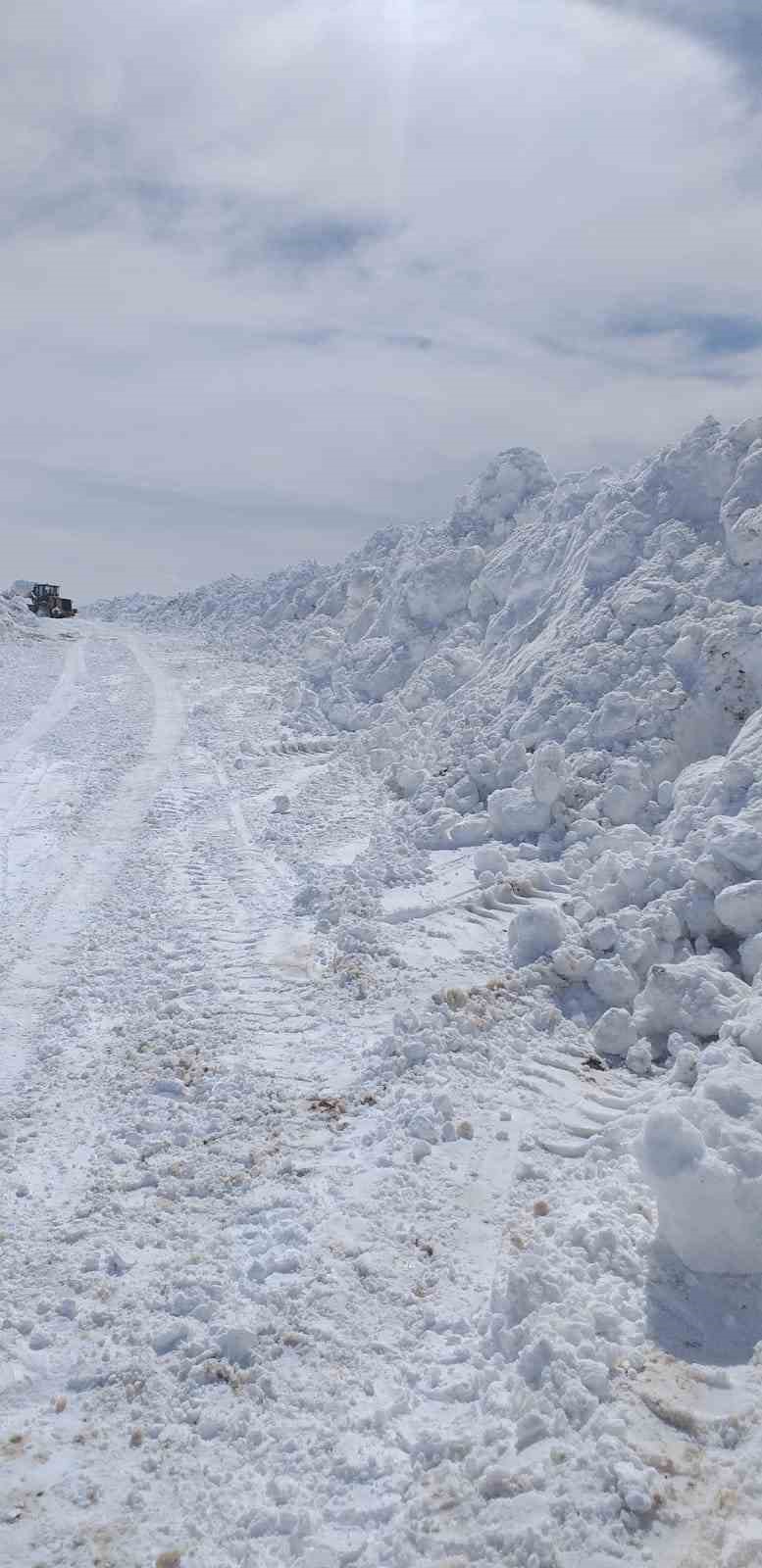 Muradiye’de kar ve tipiden kapanan yollar ulaşıma açıldı