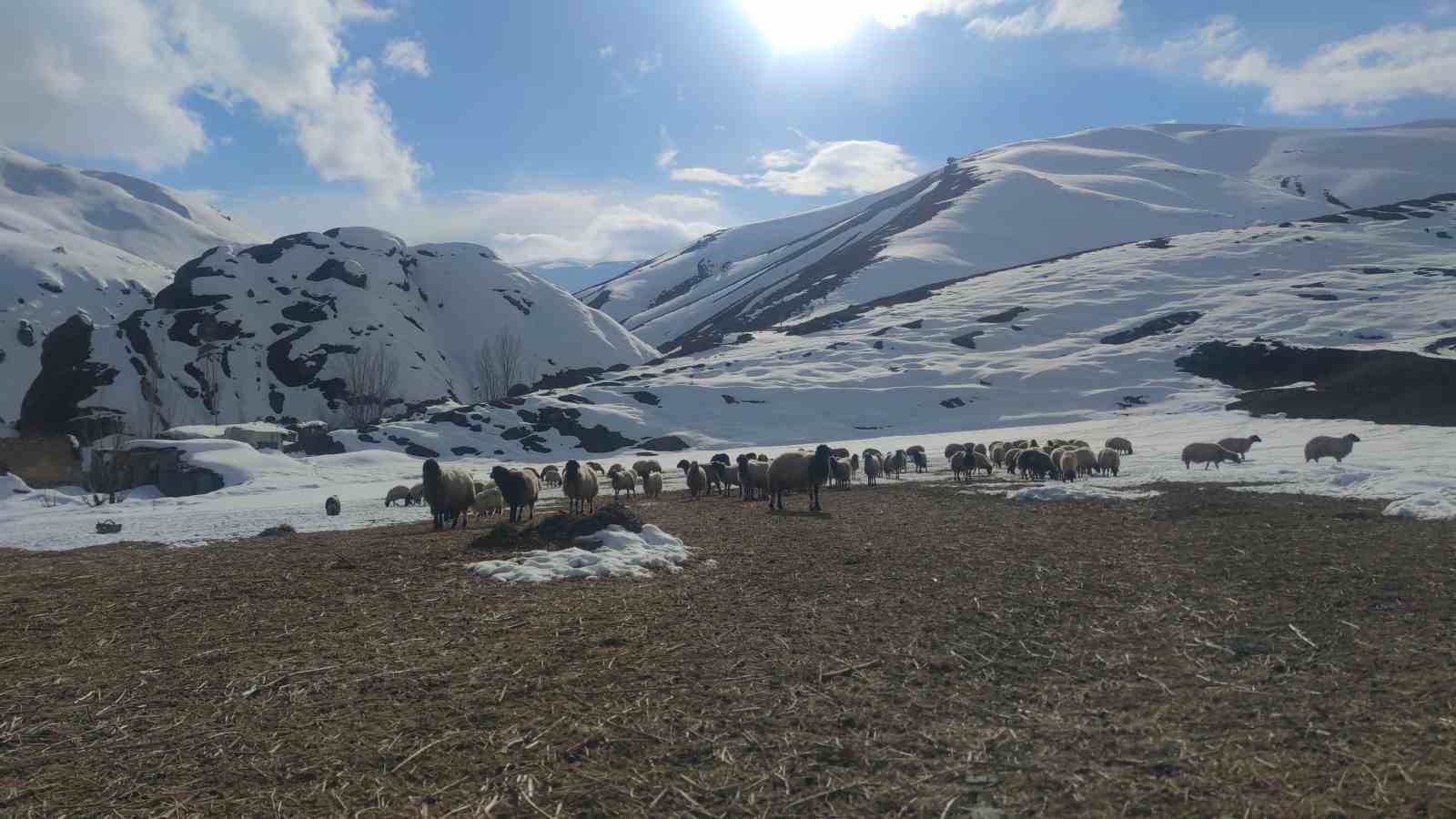 Damlardaki karlar temizleniyor