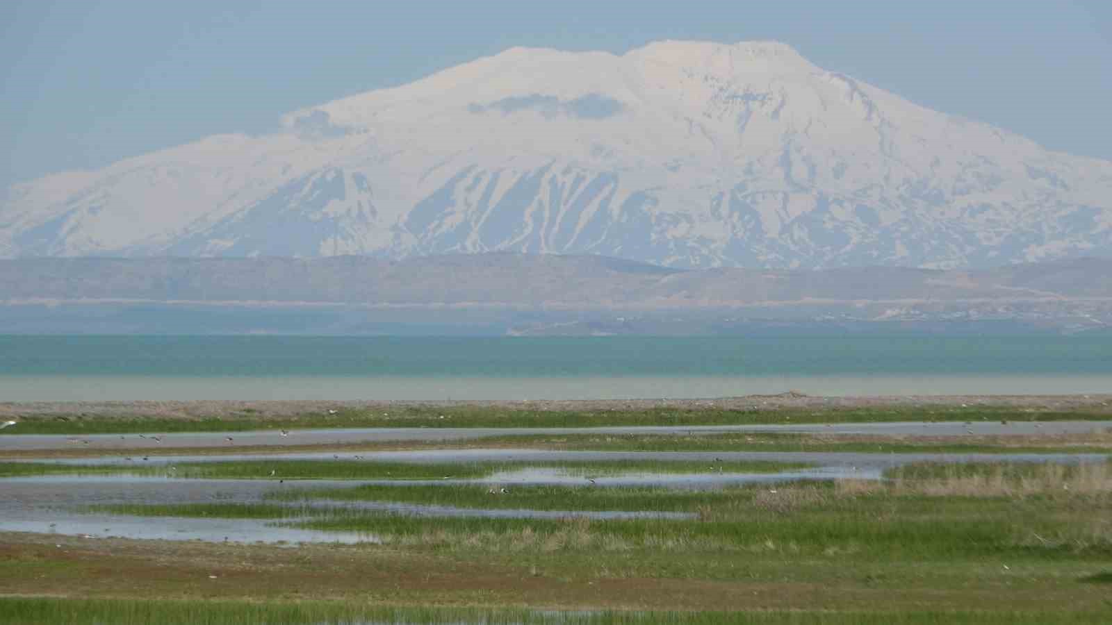 Yağış sonrası Van Gölü’nün su seviyesi yükselmeye başladı