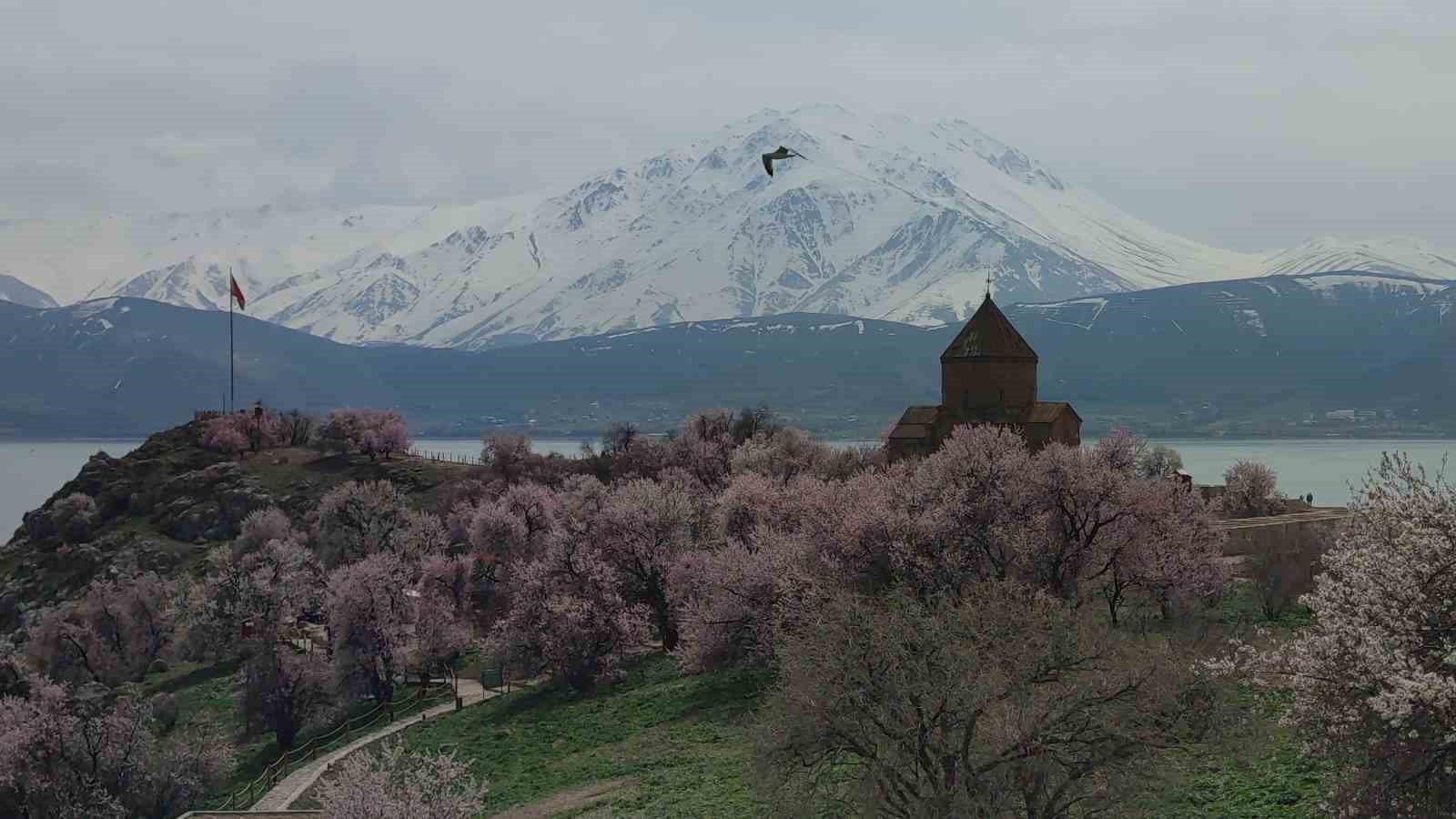 Akdamar Adası renk cümbüşüne büründü