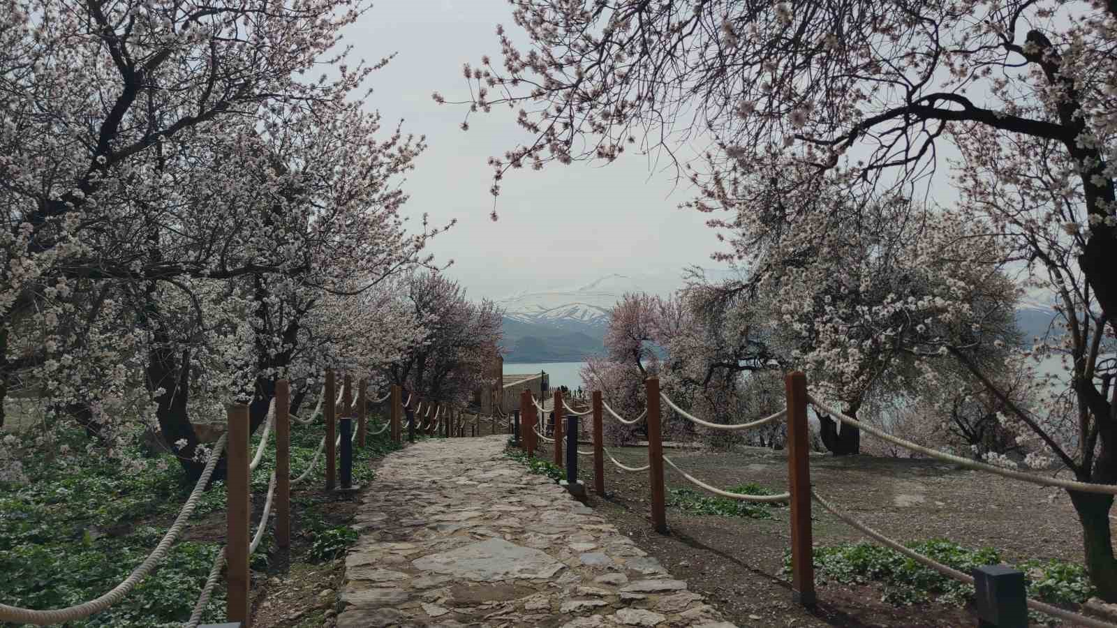 Akdamar Adası renk cümbüşüne büründü