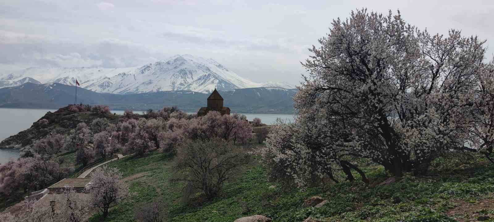 Akdamar Adası renk cümbüşüne büründü