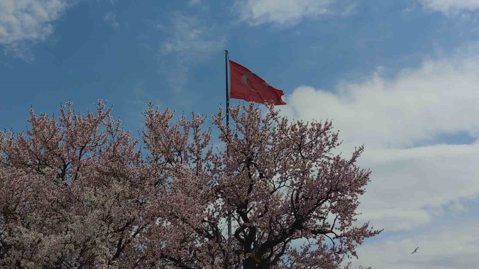 Akdamar Adası renk cümbüşüne büründü