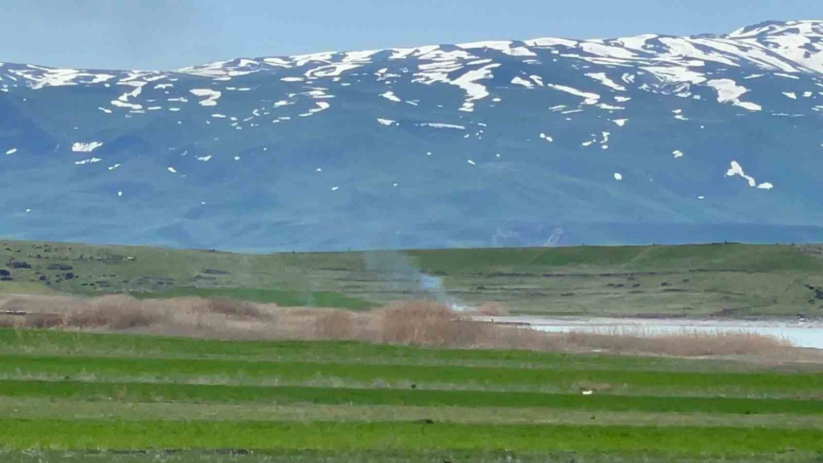 Muradiye’de sazlık alanında yangın paniği