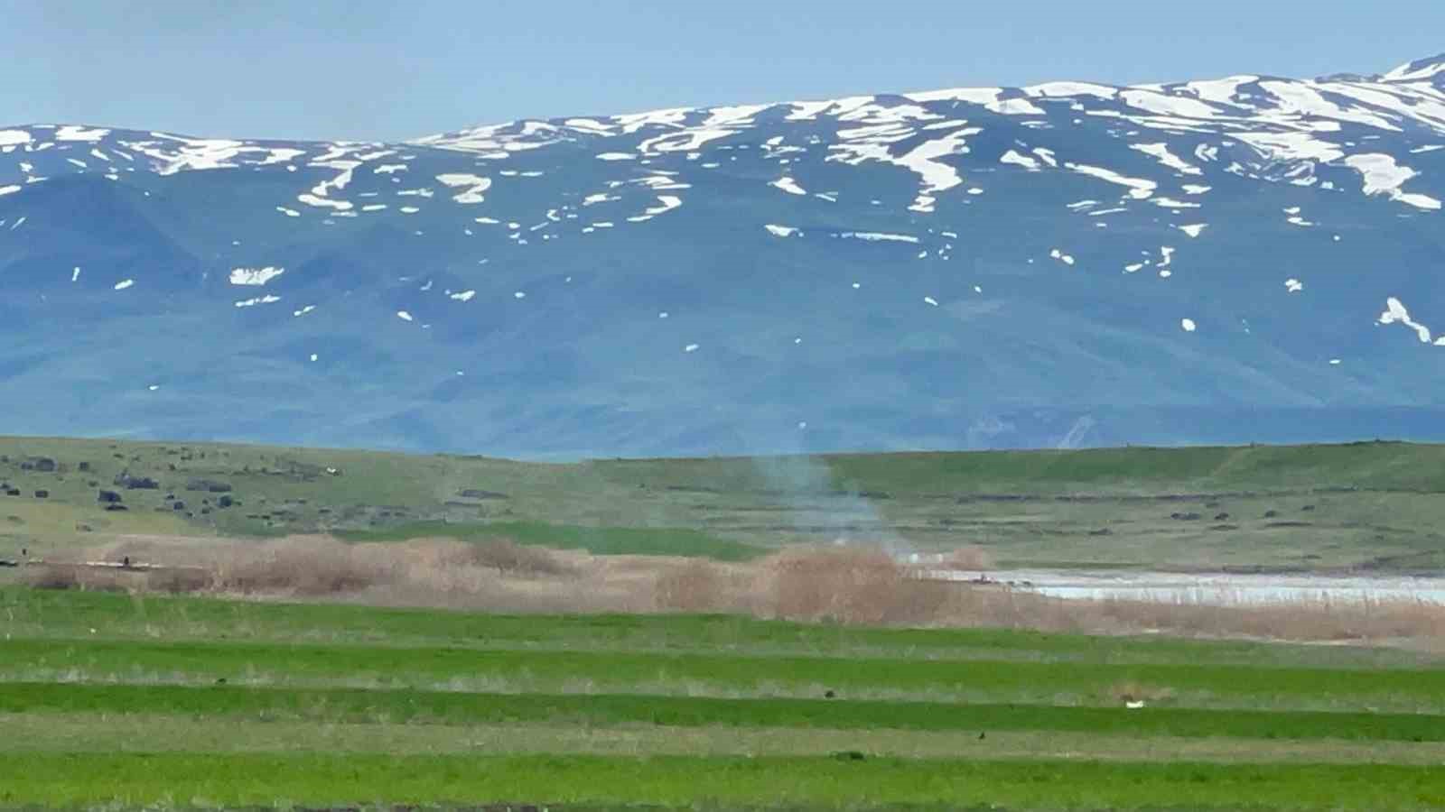 Muradiye’de sazlık alanında yangın paniği