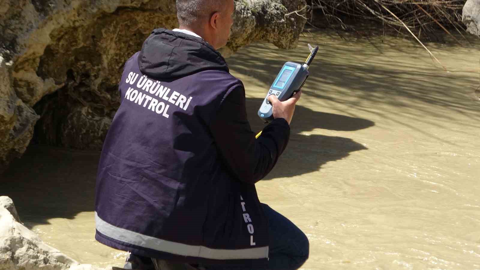 Van Gölü’nde av yasağı başladı: İnci kefalleri göç hazırlığında