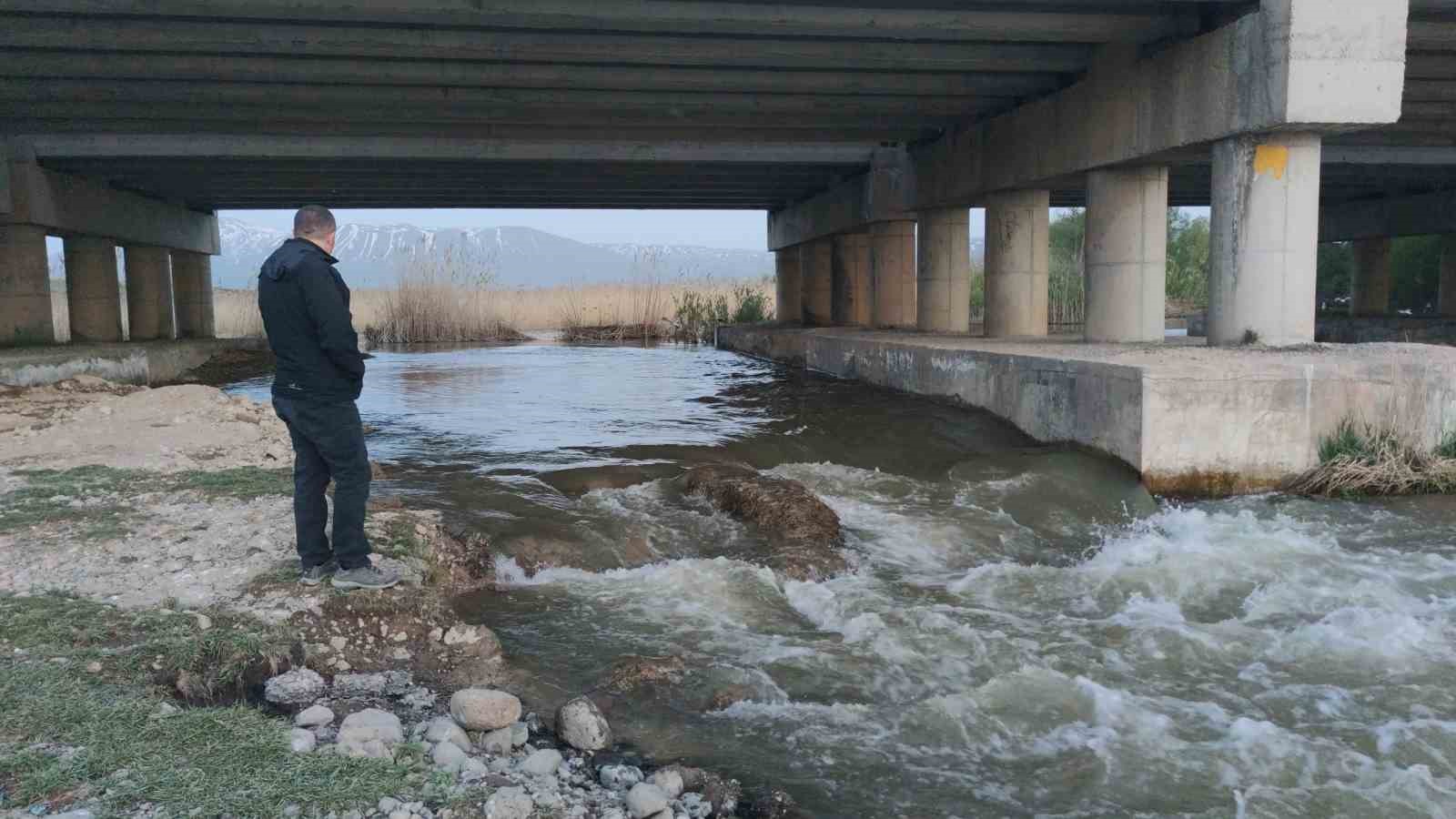 Fizyolojik uyum süreçlerini tamamlayan Van Gölü’nün incilerinin zorlu yolculuğu başladı