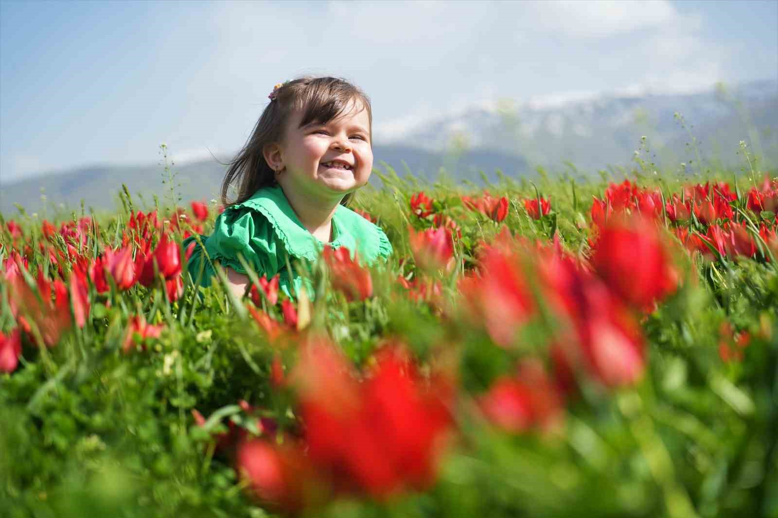 Muş’ta “lale devri” başladı