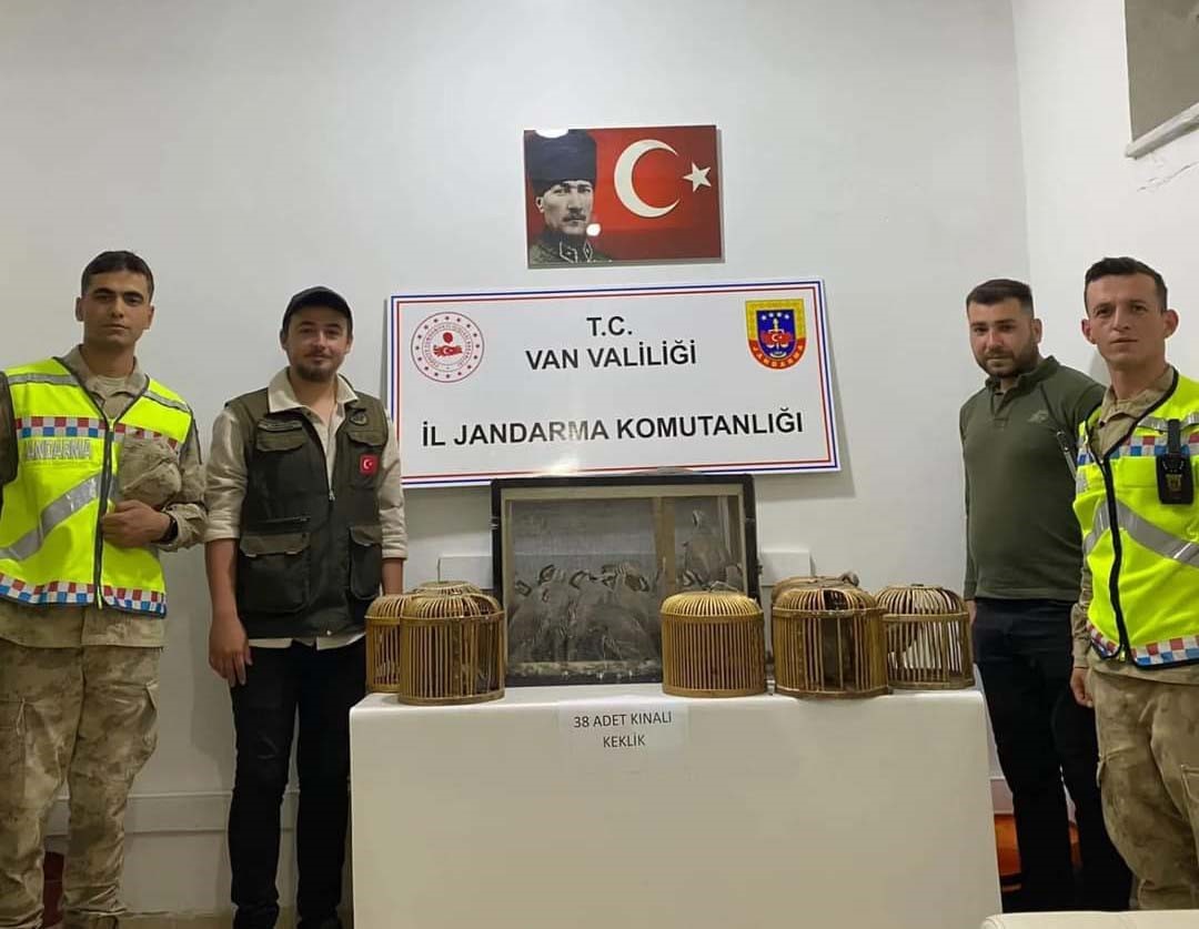 Kafes avcıları jandarmaya takıldı