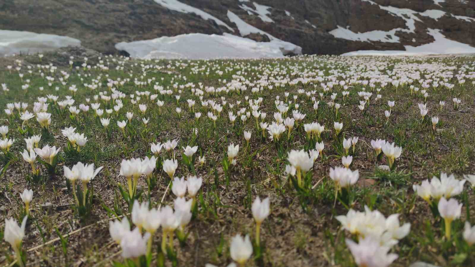 Van’da iki mevsim bir arada