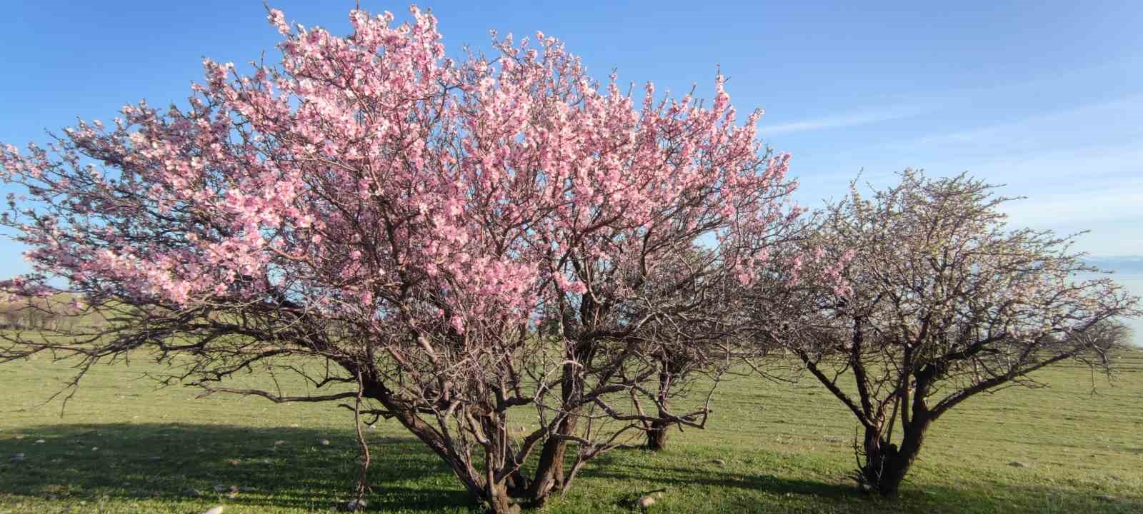 Van’da iki mevsim bir arada