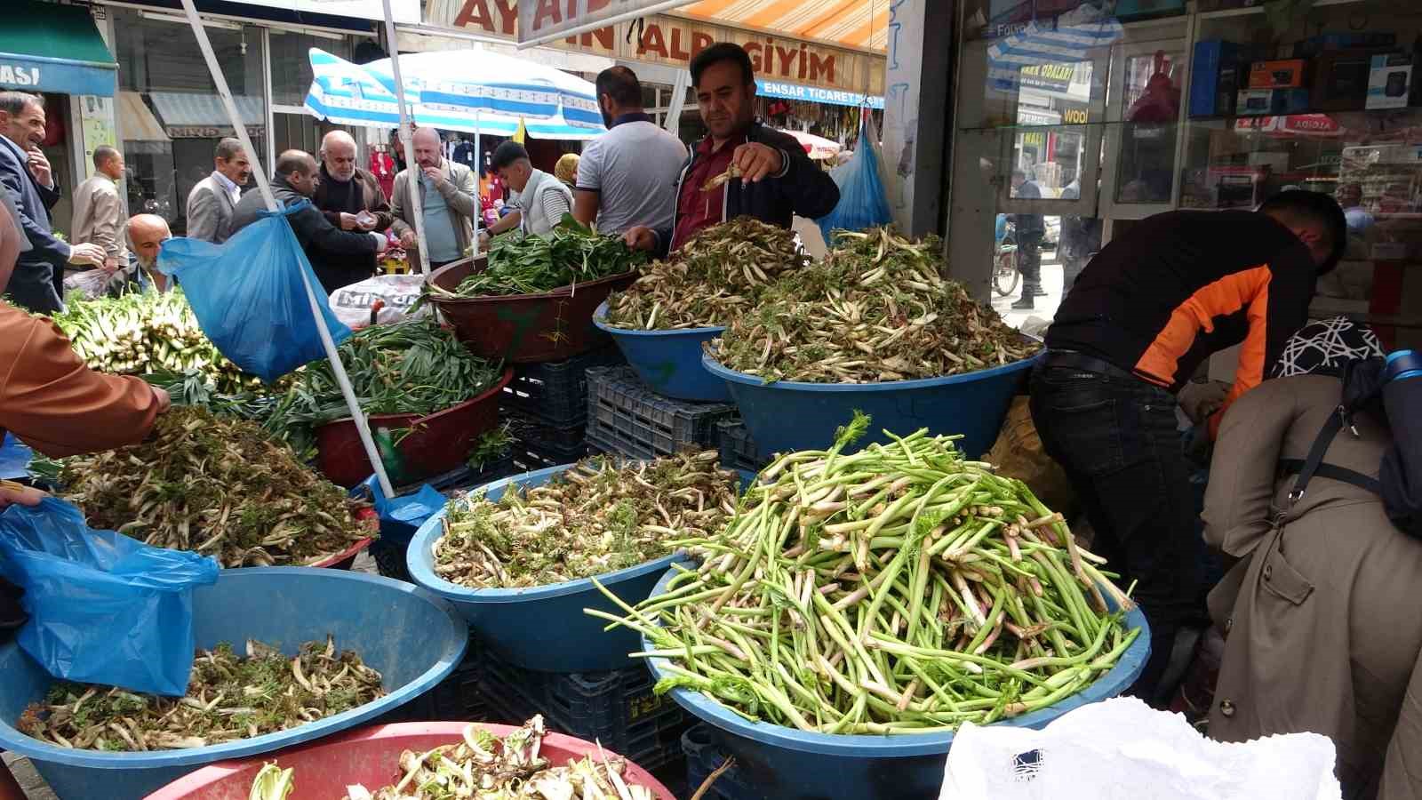 Sofraların vazgeçilmesi otlu peynire tat veren bitkilere büyük ilgi