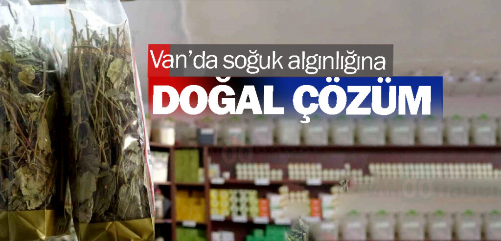 Van’da soğuk algınlığına doğal çözüm