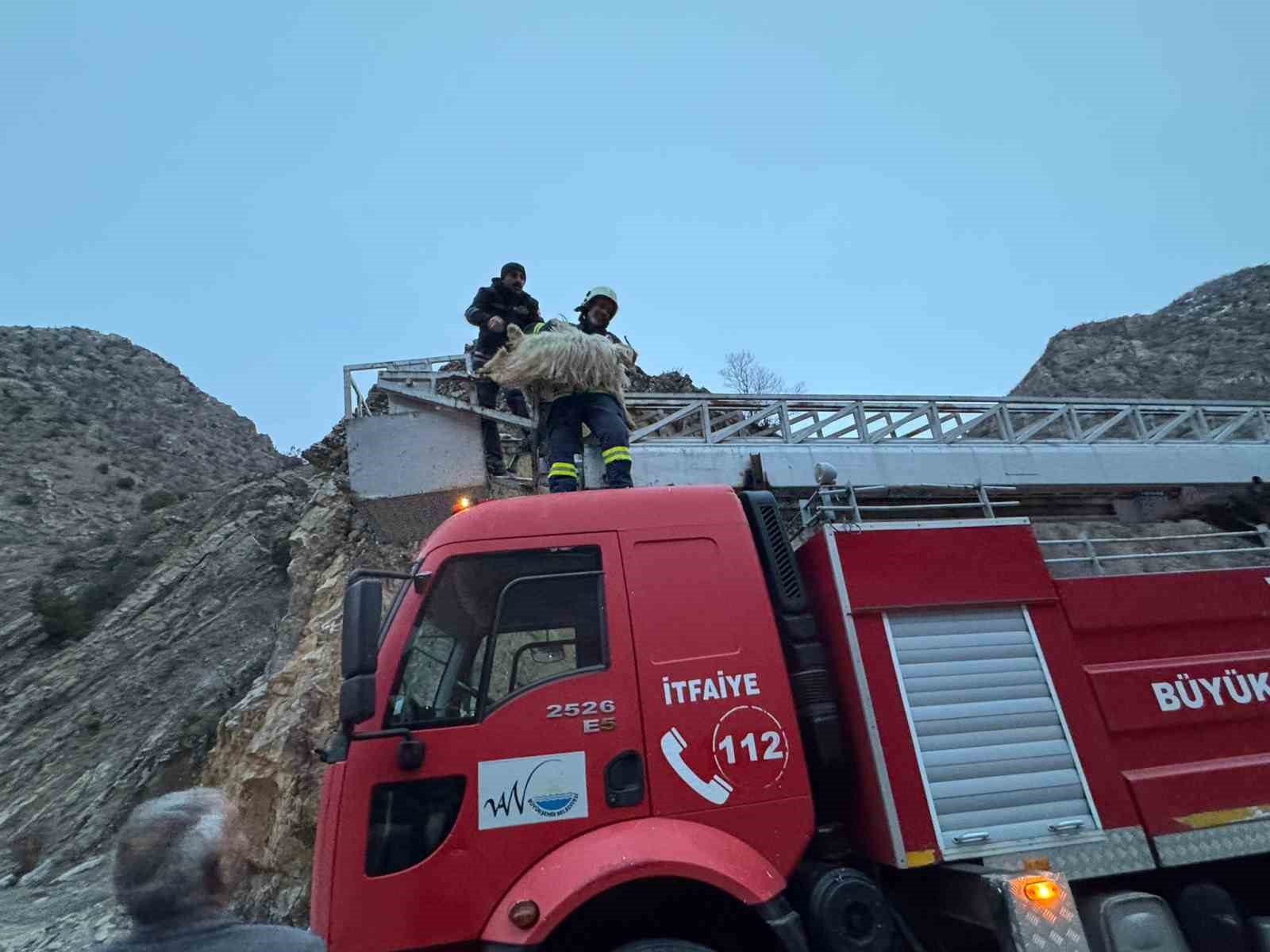 Kayalıklarda mahsur kalan 4 keçiyi itfaiye kurtardı