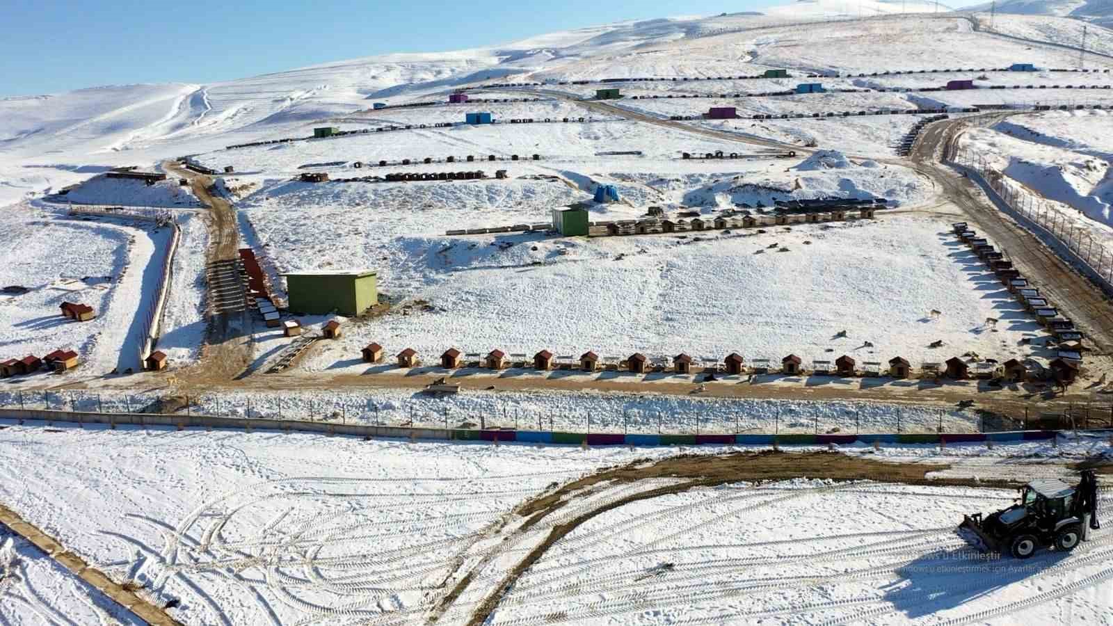 ‘Doğal yaşam alanı’ sahipsiz hayvanların evi oldu