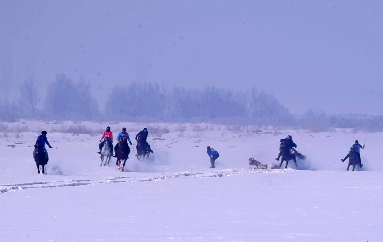 Kar üstündeki at yarışında kaza!