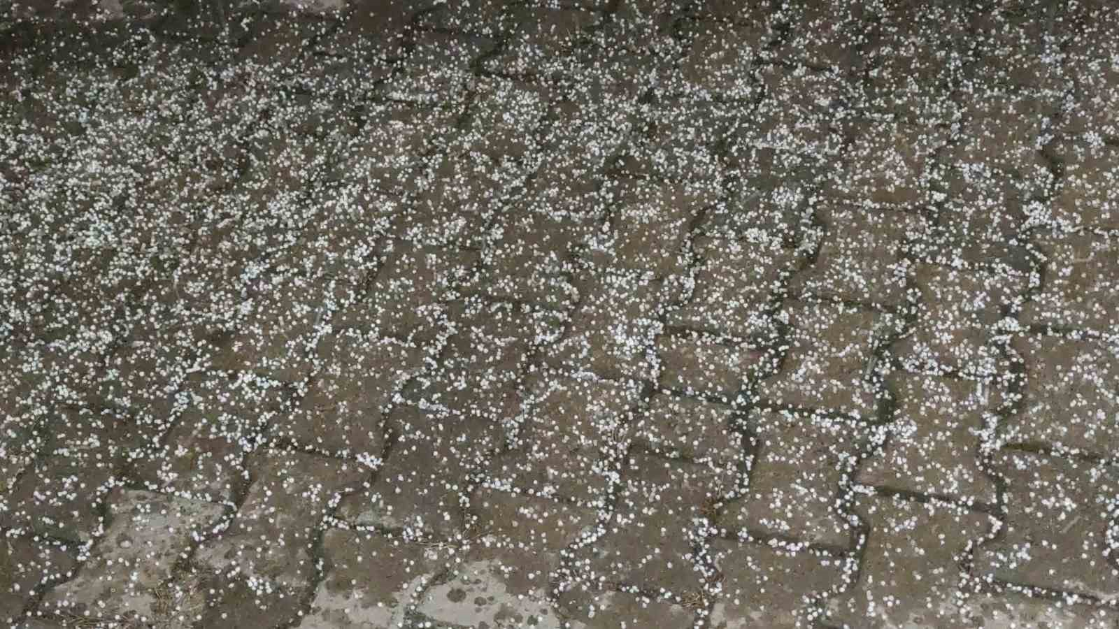 Van’da dolu yağışı etkili oldu