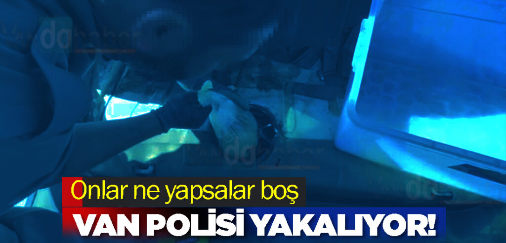 Onlar ne yapsalar Van Polisi Yakalıyor!