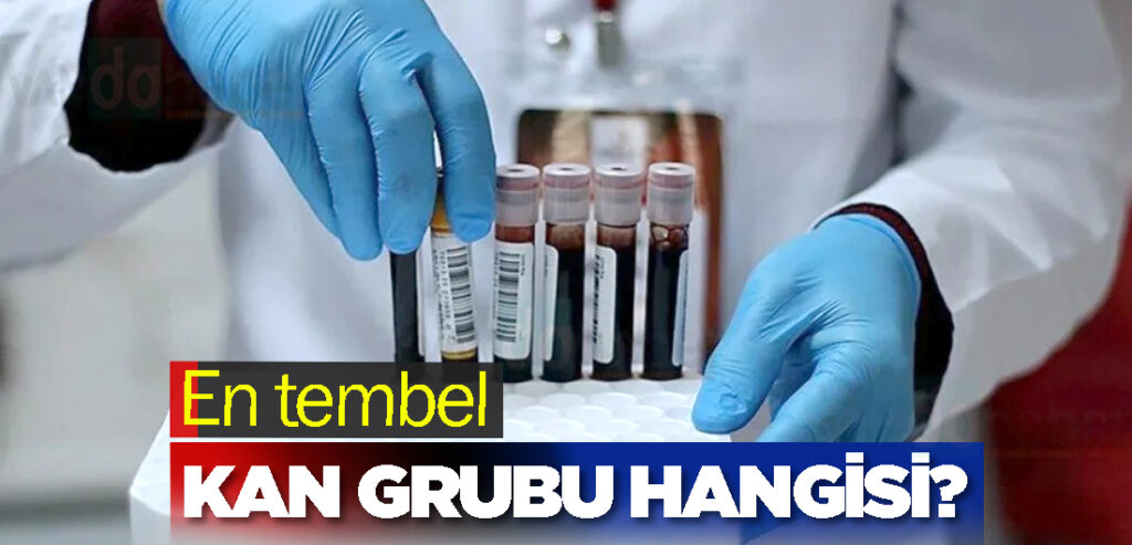 En tembel kan grubu hangisi?