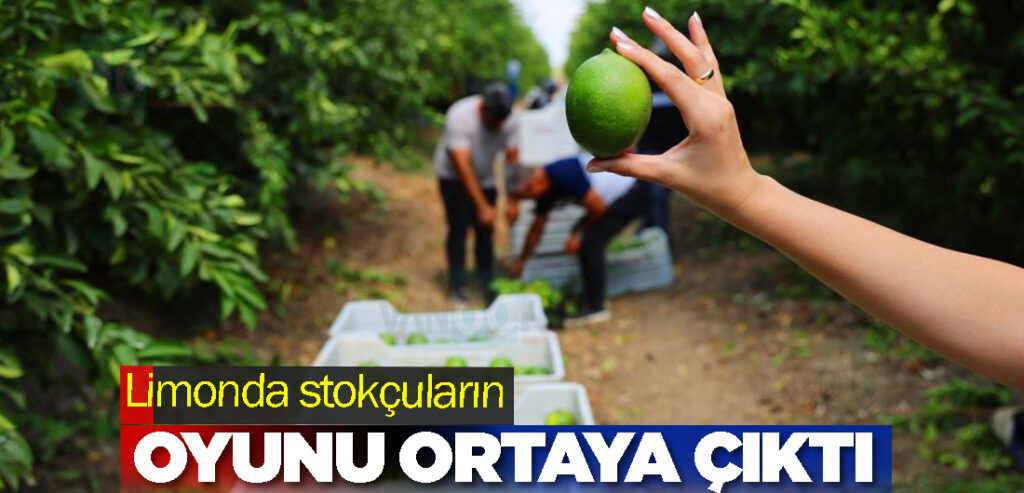 Limonda stokçuların oyunu ortaya çıktı