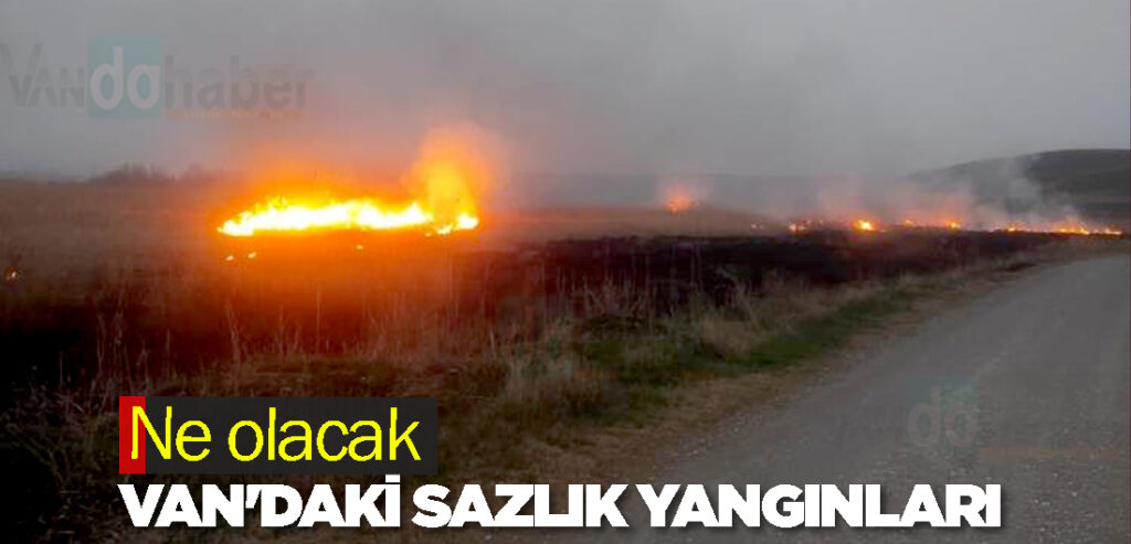 Ne olacak Van'daki sazlık yangınları