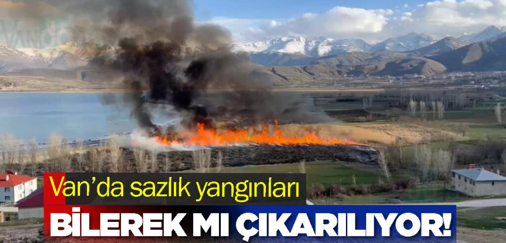 Van’da sazlık yangınları bilerek mi çıkarılıyor!