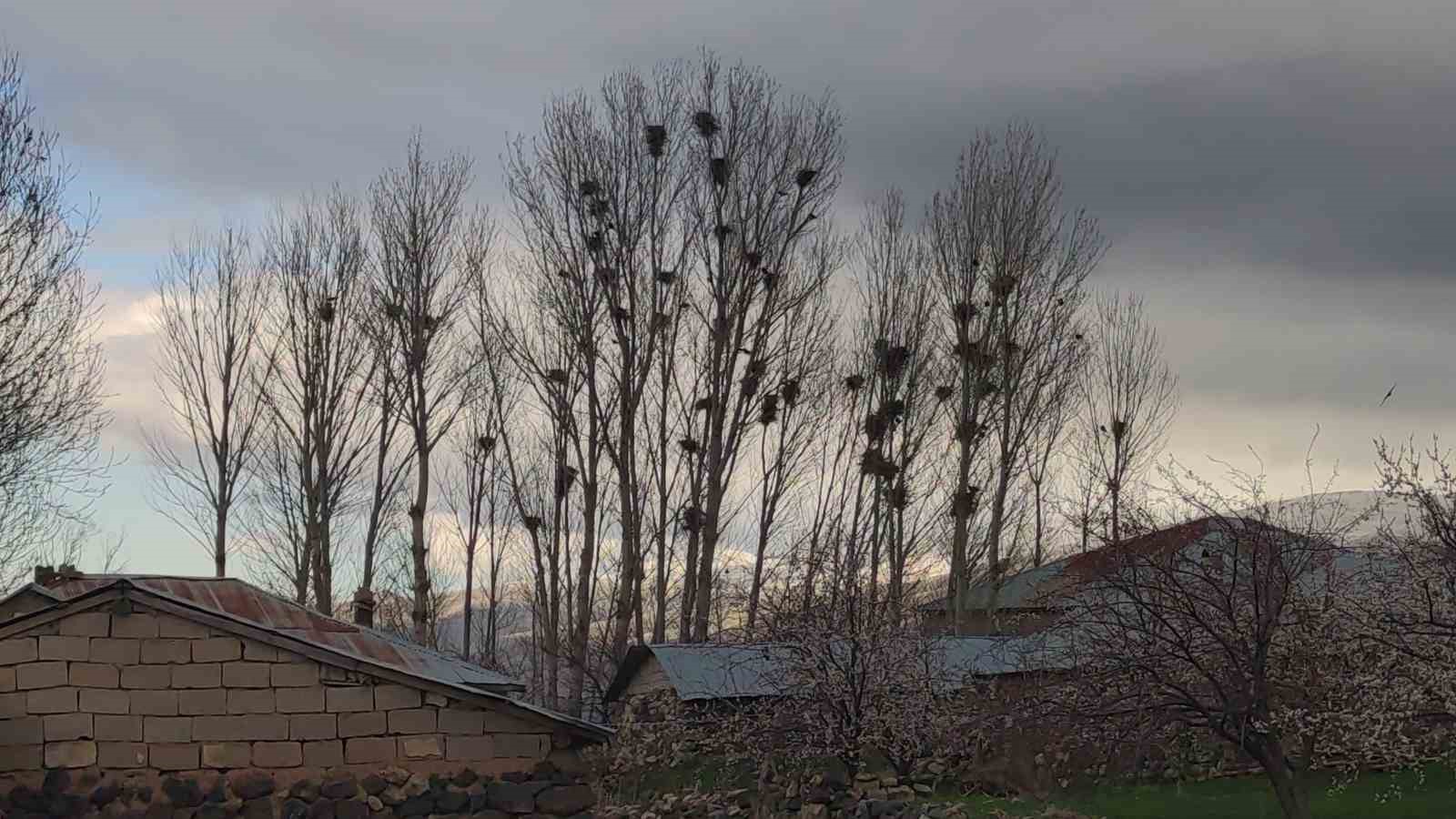 Kargaların yeni mekanı baz istasyonu direği