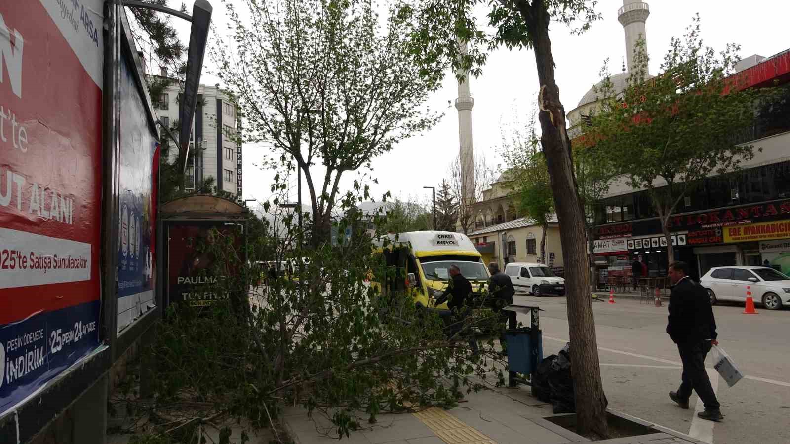 Van’da etkili olan fırtına çatıları uçurdu, ağaçları devirdi