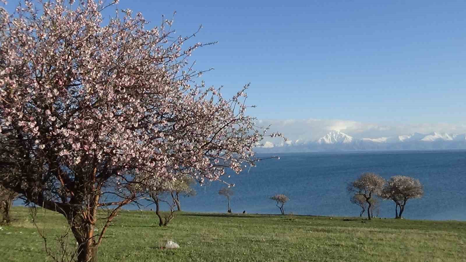 Doğaseverlerin yeni rotası Çarpanak yarımadası