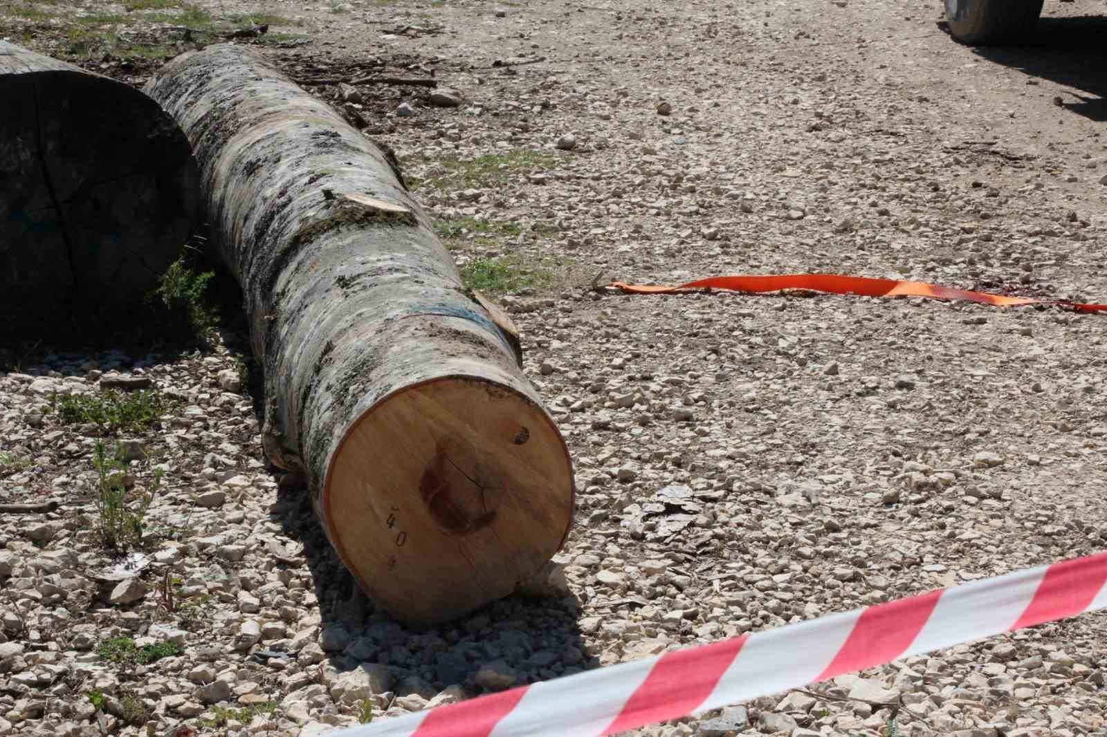 Tonlarca tomruk üzerine devrildi, hastanede hayatını kaybetti