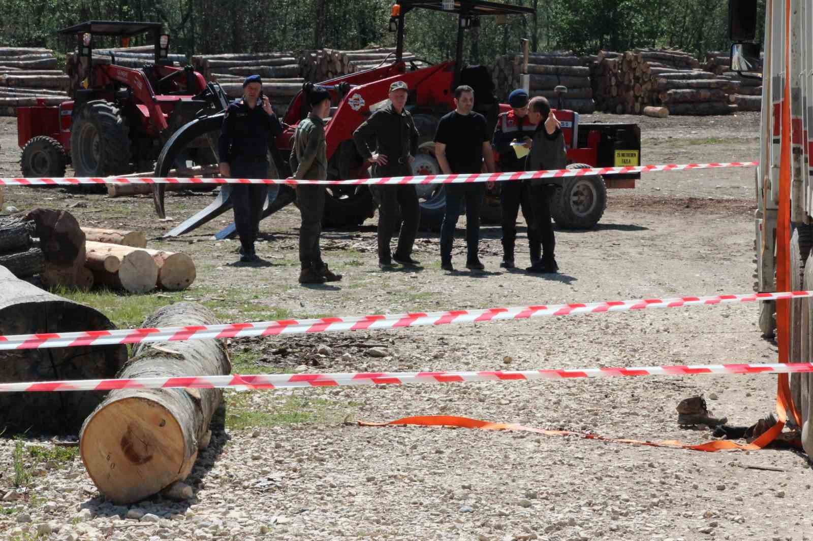 Tonlarca tomruk üzerine devrildi, hastanede hayatını kaybetti