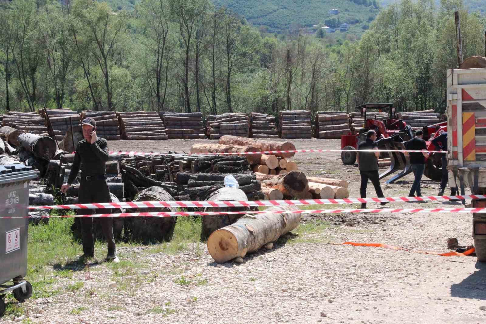 Tonlarca tomruk üzerine devrildi, hastanede hayatını kaybetti