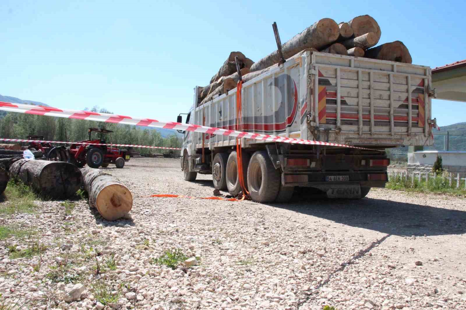 Tonlarca tomruk üzerine devrildi, hastanede hayatını kaybetti