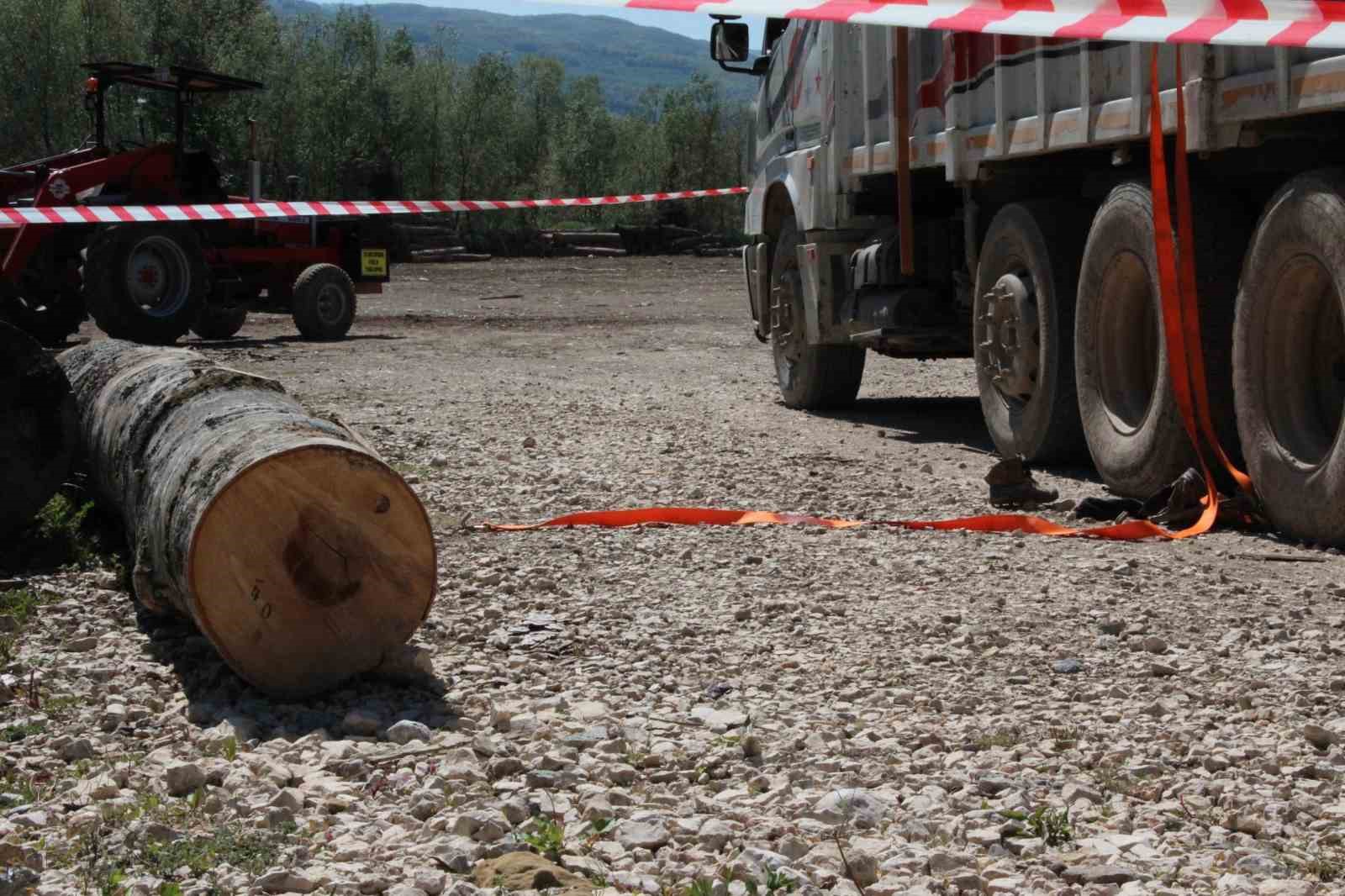 Tonlarca tomruk üzerine devrildi, hastanede hayatını kaybetti