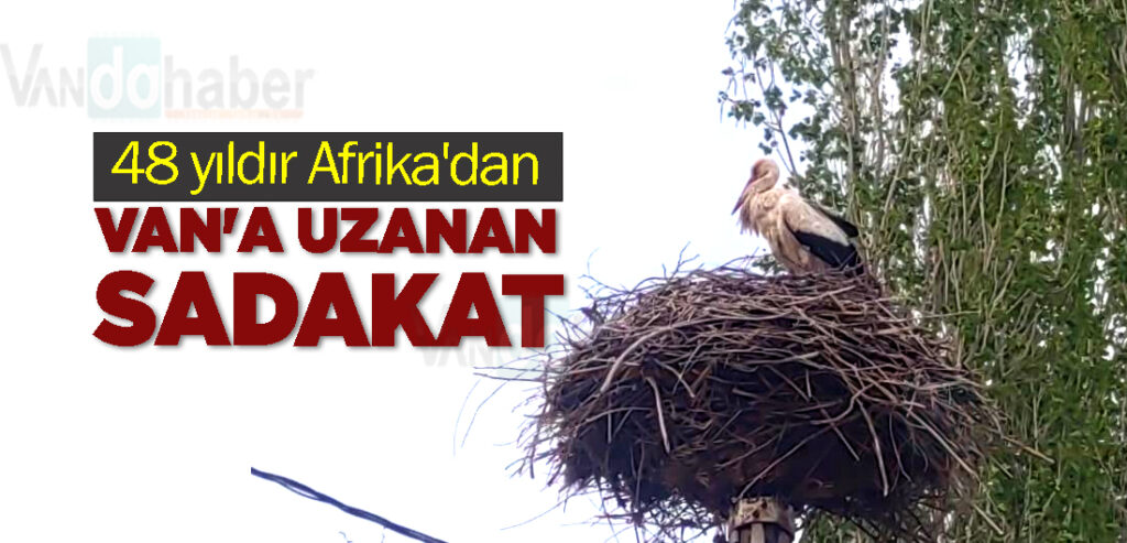 48 yıldır Afrika'dan Van'a Uzanan Sadakat