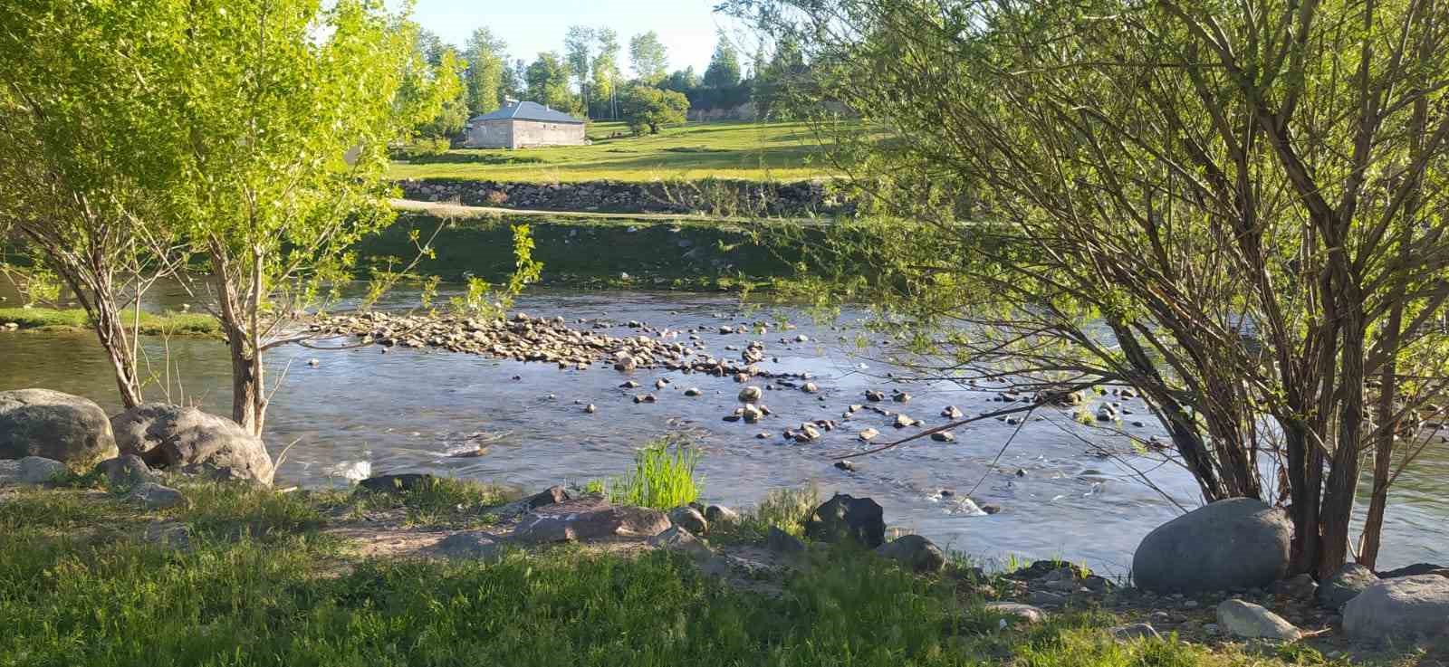 İnci kefalinin göçü yerli ve yabancı turistlerin ilgi odağı oldu